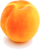 apricot